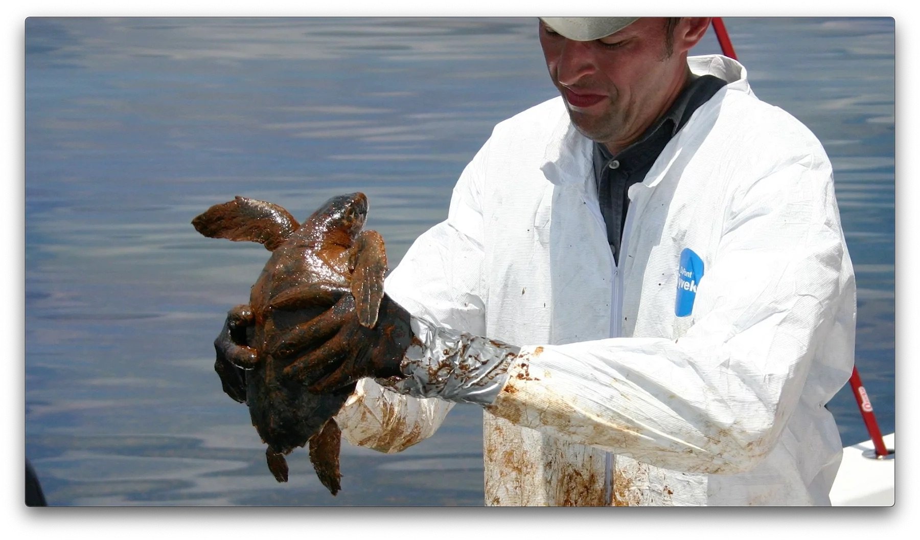 iostudio-case-study-breton_island_restoration_dept._of_interior-4